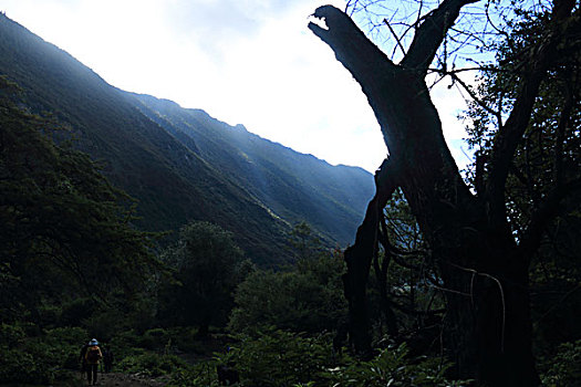 soi cau lo bach thu hom nay