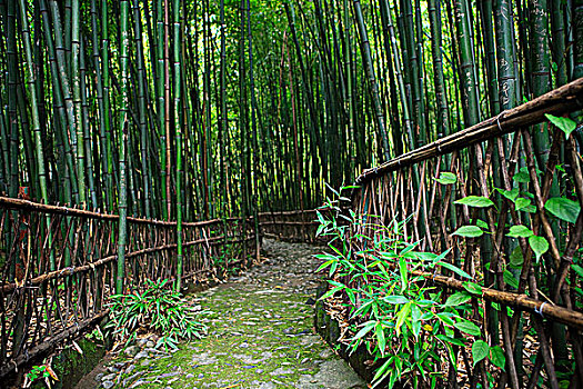 lô gan miền bắc