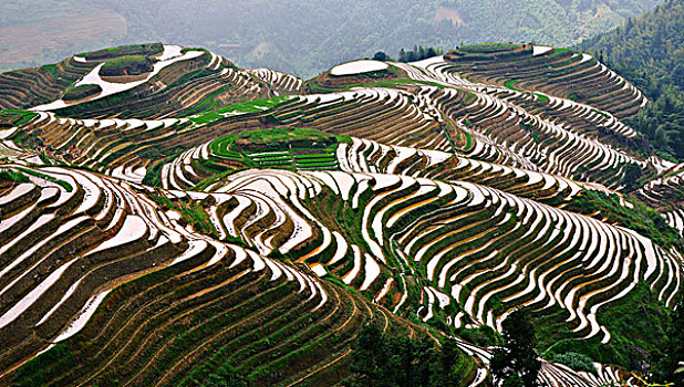 xsmn thu tu