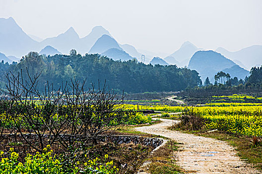 xs quang ninh