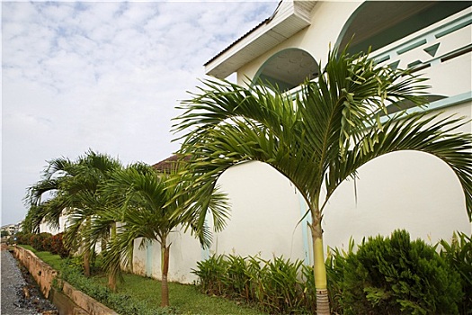 soi cau 6666 hom nay