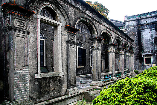 bạch thủ lô