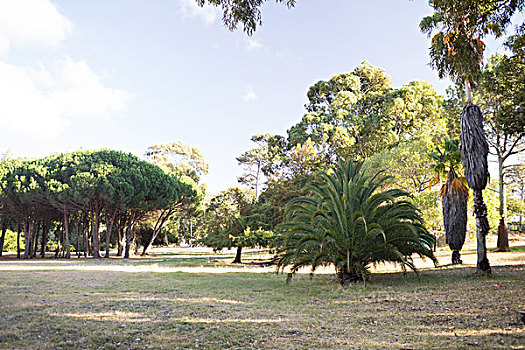 lô khung 247