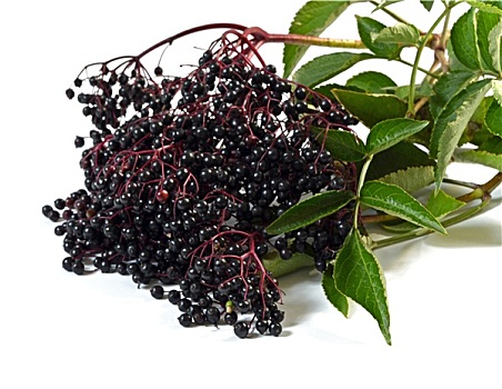 soi cầu lô đề miền bắc
