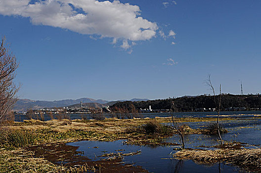 soi cau bac trung nam