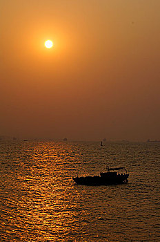 soi cau mb bach thu lo