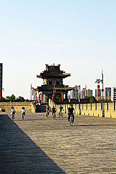 bạch thủ lô hôm nay là con gì