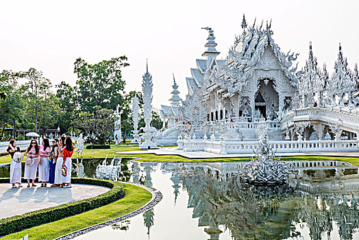 soi bach thu lo mien bac