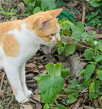 cách đánh lô luôn thắng