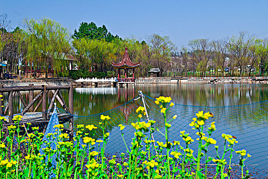 quay thu xo so mien nam
