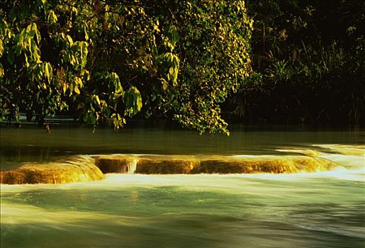 soi câu bach thu xsmb