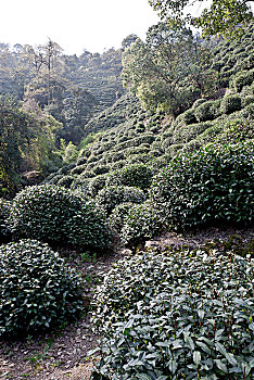 xổ số ba miền hôm nay