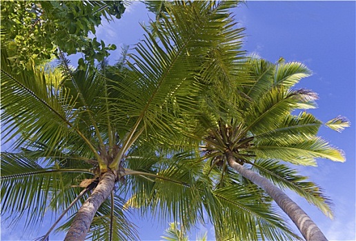 thống kê kết quả vietlott
