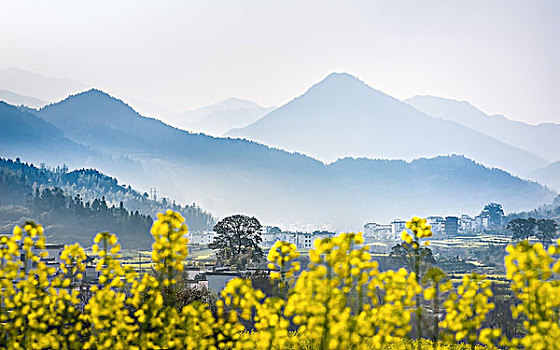 lo bach thu khung 5 ngay