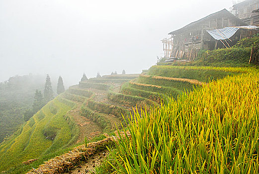 xsmn thu 6 minh ngoc