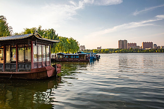 dạy cách đánh đề
