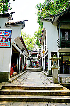 soi cau bach thu xs
