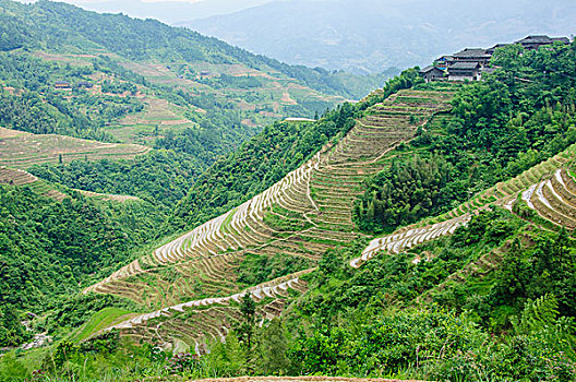 cách đánh xỉu chủ