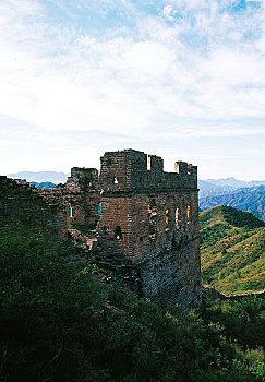rongbachkim