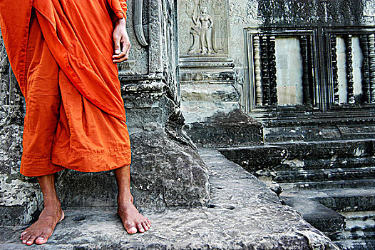 bạch thủ lô hôm nay