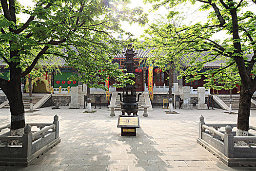 soi cau 135