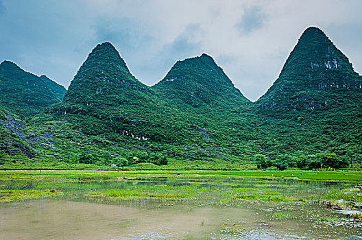 bạch thủ lô kép hôm nay