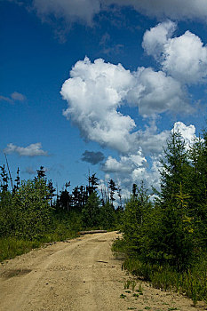 soi cau thuan vu 286