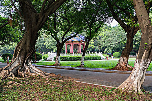 soi cau lo de bach thu mien phi