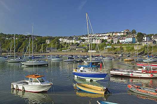 xsbthuan