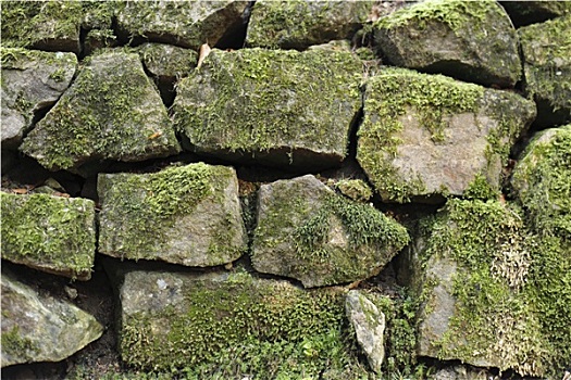 xô số miền bắc