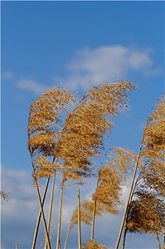 dò số hôm nay