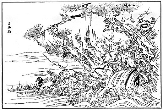 dự đoán bình định