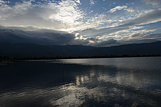 soi lo bach thu