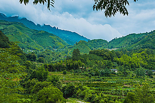 du doan xo so binh dinh