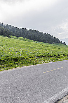 rong bach kim mb