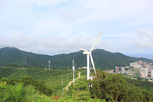 soi cau nhanh