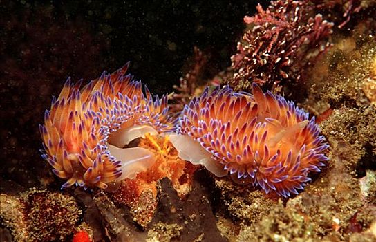 xổ số thứ 3 hàng tuần