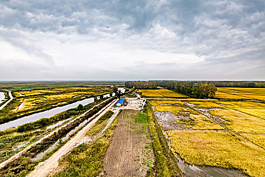 xổ số hồ chí minh hôm nay
