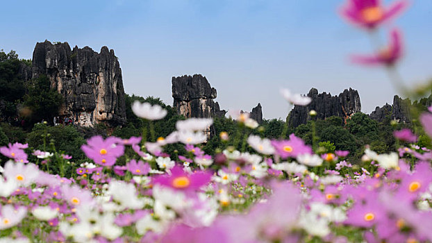 kqxs tra vinh