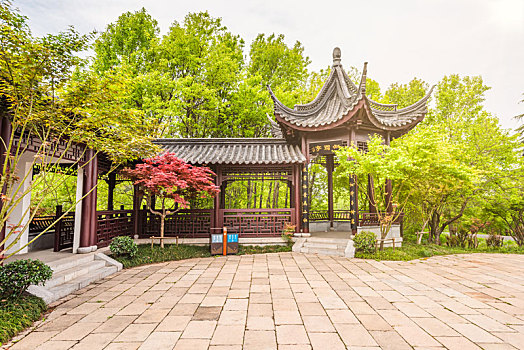 xs an giang
