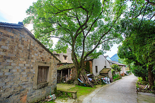 chơi lô đề có lãi