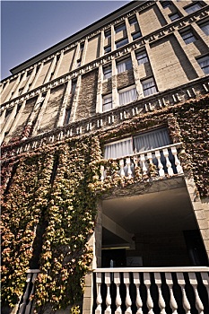 cau vip 4 so
