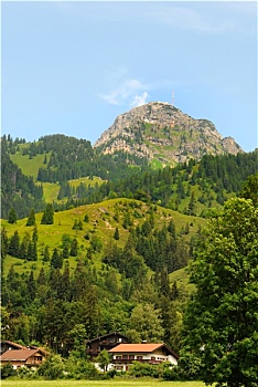 bach thu khung 5 ngay