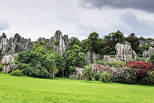 soi bạch thủ đề hôm nay