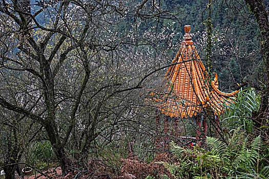 chốt dàn đặc biệt