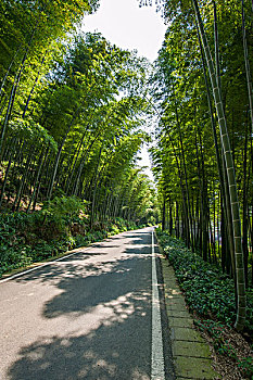 xổ số long an 30 ngày