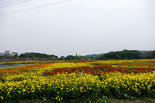 bach thu de hom nay