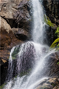 soi cau bach thu xo so mien bac