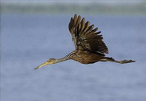 cầu lô 2 nháy miền bắc