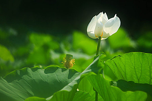 xổ số kiên giang tuần rồi
